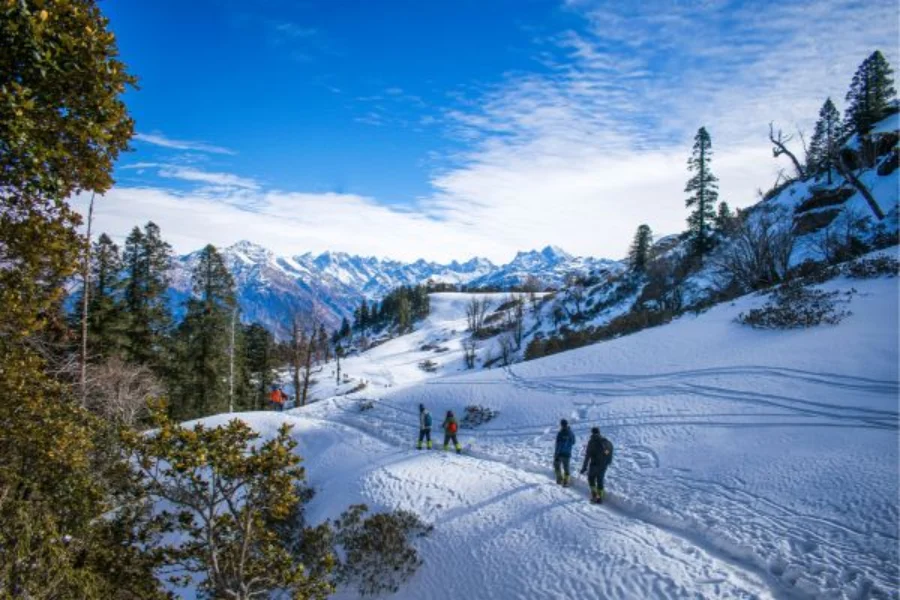 Himalayan Bliss Tour