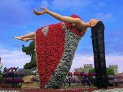 Miracle Garden