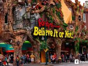 Ripley’s Believe It or Not Museum Pattaya Admission Ticket