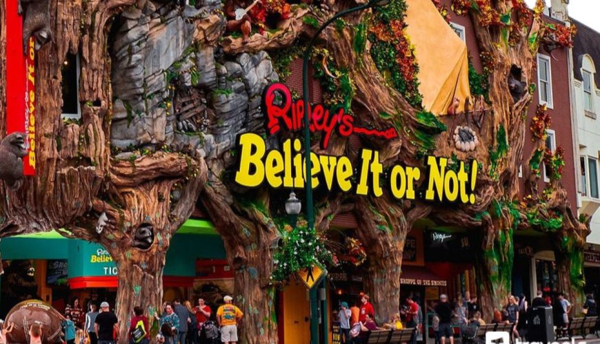 Ripley’s Believe It or Not Museum Pattaya Admission Ticket