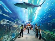 pattaya underwater world