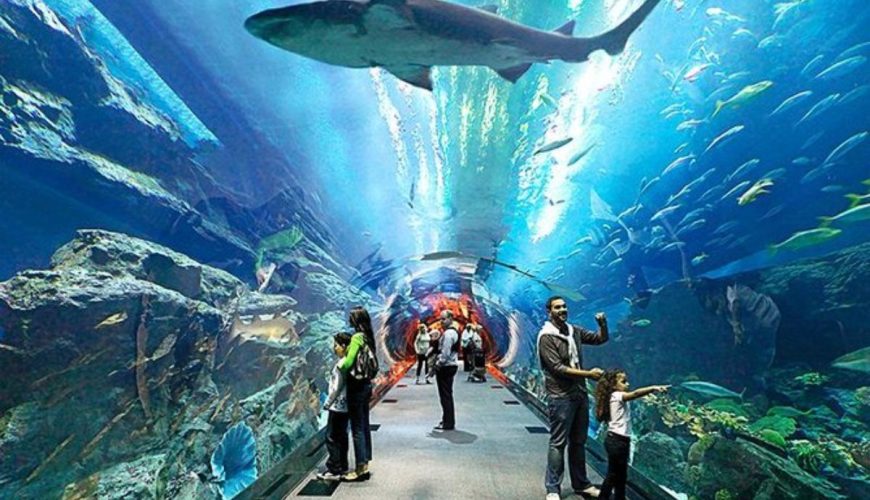 pattaya underwater world
