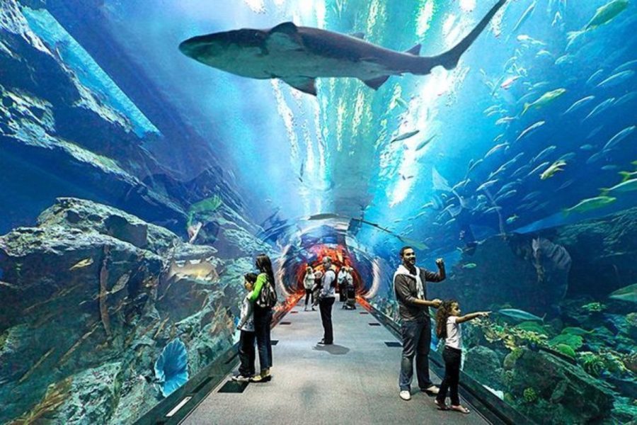 pattaya underwater world