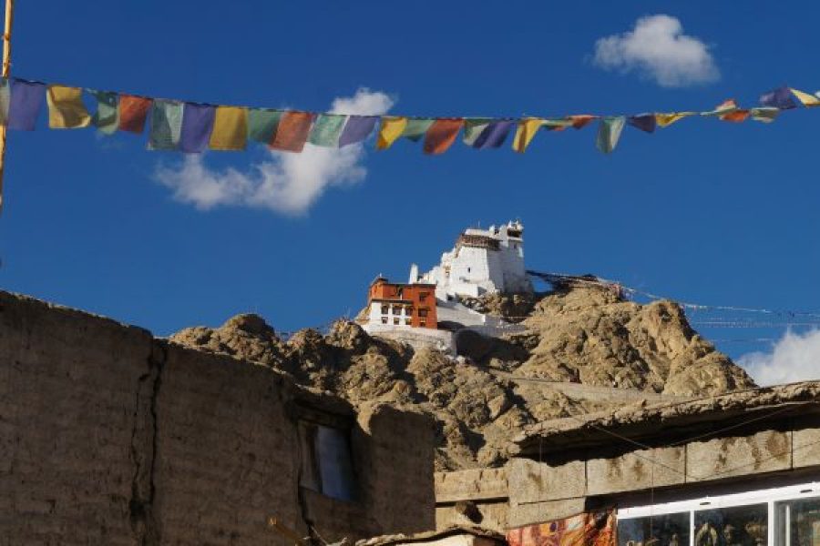 Ladakh Escape